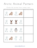 Polar Bear K-3 Activity Pack: Playful Learning With Polars - An Off Grid Life