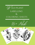 Intro to Foraging With Children Printables Bundle 100+ Pages - An Off Grid Life