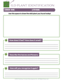 Summer Foraging Printable Mini-Pack - An Off Grid Life