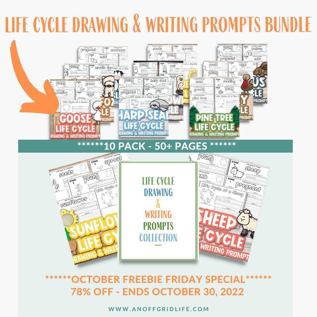 Life Cycle Drawing & Writing Prompts Collection Bundle – An Off Grid Life