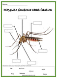 Mosquito Printable Set - An Off Grid Life