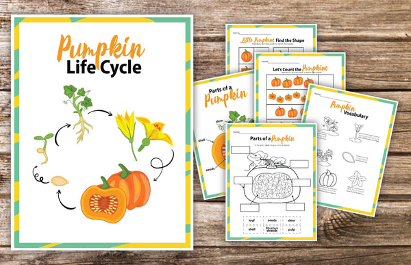Pumpkin Life Cycle - An Off Grid Life