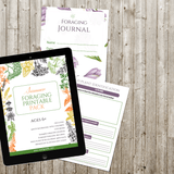 Summer Foraging Printable Mini-Pack - An Off Grid Life