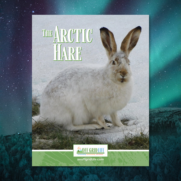 The Arctic Hare - An Off Grid Life