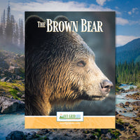The Brown Bear - An Off Grid Life