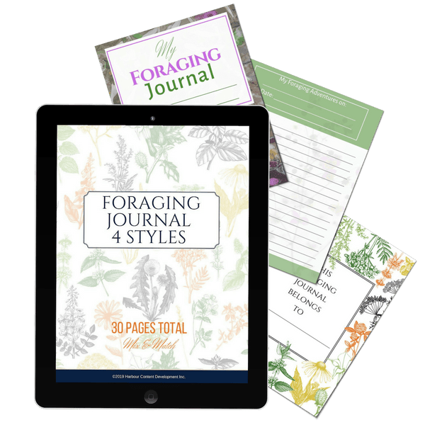 Foraging Journal Printables Pack - An Off Grid Life
