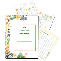 Foraging Journal #3 - An Off Grid Life