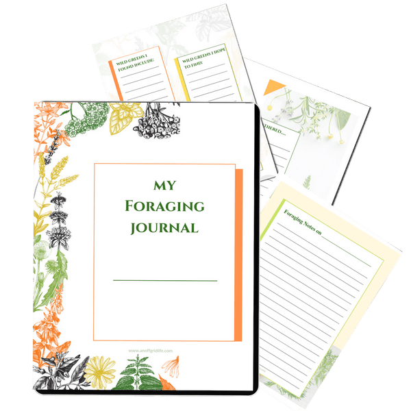 Foraging Journal #3 - An Off Grid Life