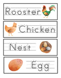K-2 Chicken Unit Study Printable Pack - An Off Grid Life