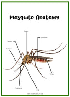 Mosquito Printable Set - An Off Grid Life