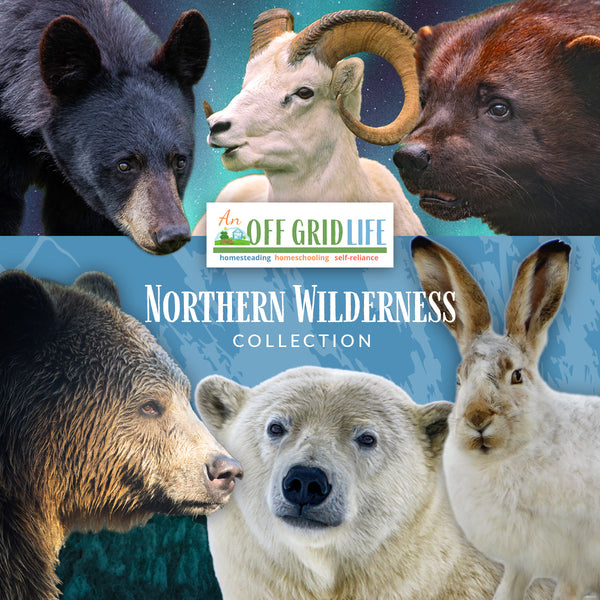 Northern Wilderness Collection Big Bundle - An Off Grid Life