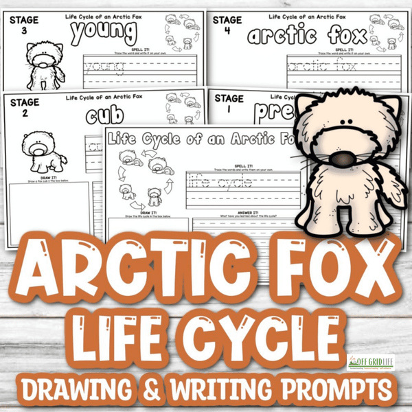 Arctic Fox Life Cycle Drawing & Writing Prompts - An Off Grid Life