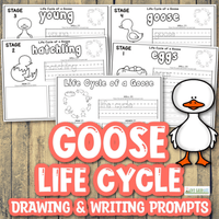 Goose Life Cycle Drawing & Writing Prompts - An Off Grid Life