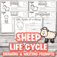 Sheep Life Cycle Drawing & Writing Prompts - An Off Grid Life