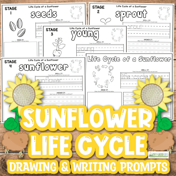 Sunflower Life Cycle Drawing & Writing Prompts - An Off Grid Life