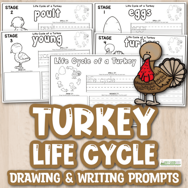 Turkey Life Cycle Drawing & Writing Prompts - An Off Grid Life