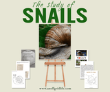 TW Nature Bundle 1 - An Off Grid Life