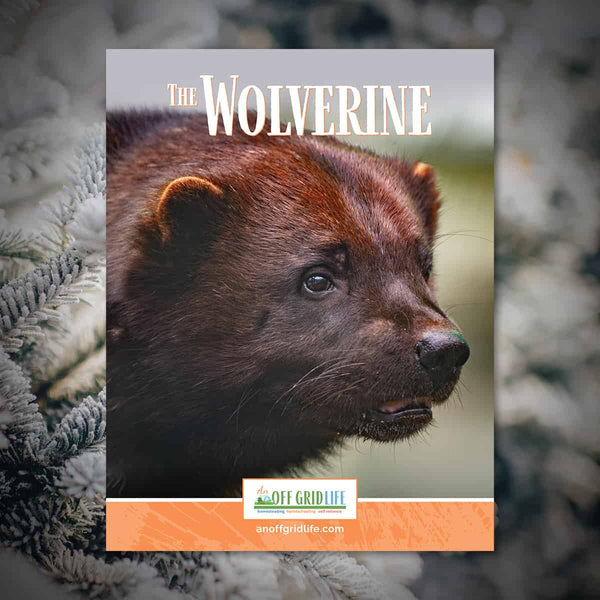 The Wolverine - An Off Grid Life