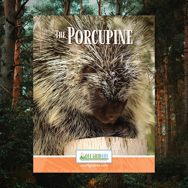The Porcupine - An Off Grid Life