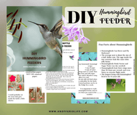 DIY Hummingbird Feeder - An Off Grid Life