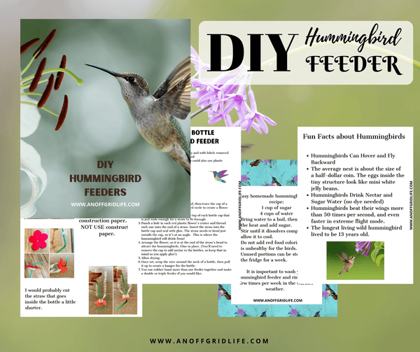 DIY Hummingbird Feeder - An Off Grid Life