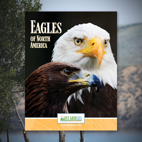 Eagles of North America - An Off Grid Life