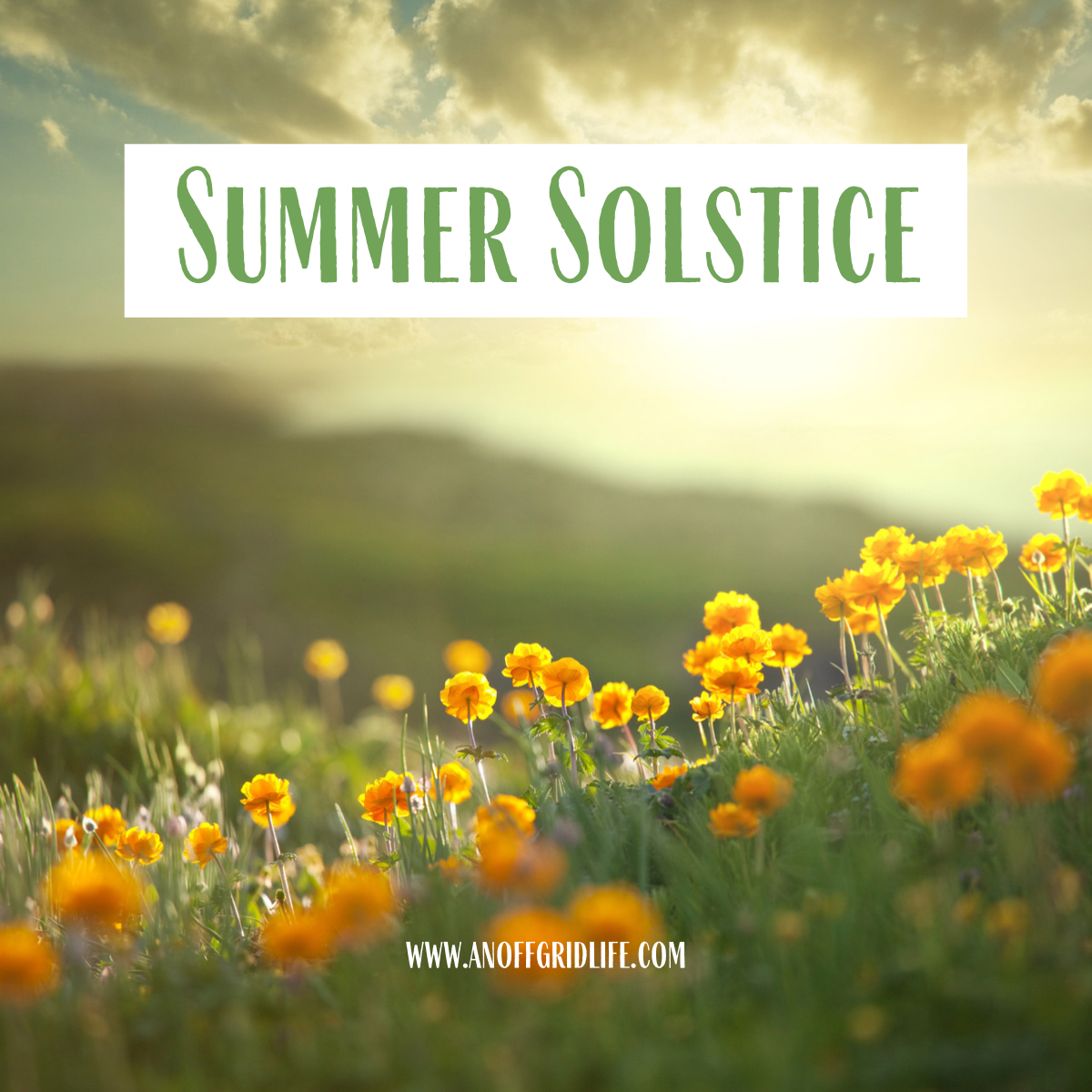 Summer Solstice – An Off Grid Life