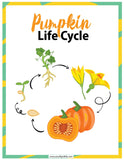 Fall on the Homestead Big Bundle! - An Off Grid Life